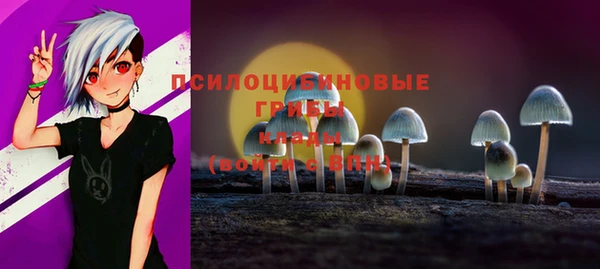 гидропоника Куйбышев