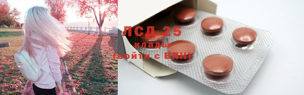 ECSTASY Кулебаки