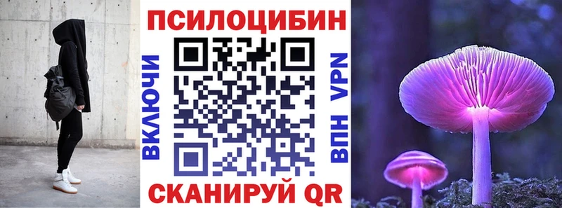 магазин продажи наркотиков  Мамоново  Псилоцибиновые грибы мицелий 